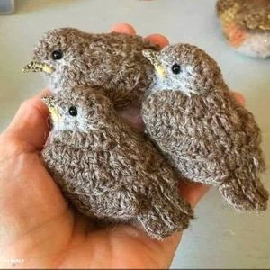 Meet your Posher, Mary